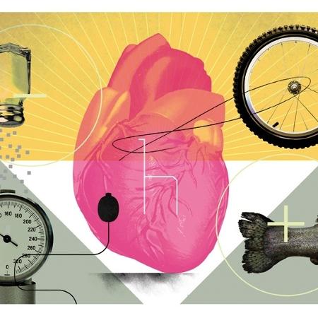 Molécula é capaz de frear o avanço da insuficiência cardíaca e ainda melhorar o funcionamento do coração - New York Times