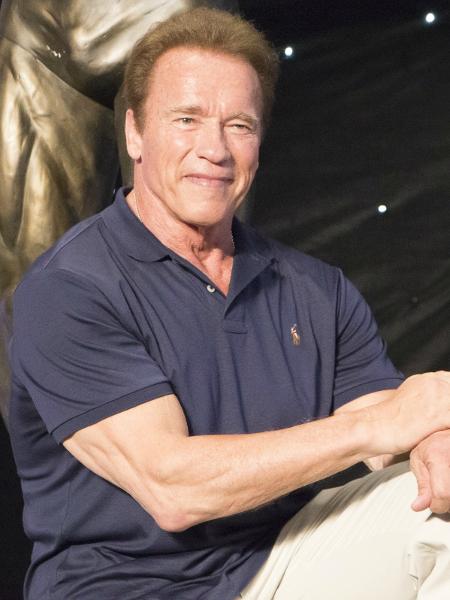 Arnold Schwarzenegger sugere um circuito que você pode fazer em qualquer lugar - Divulgação 