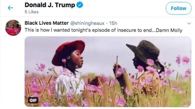 Post curtido pelo perfil de Donald Trump no Twitter - Reprodução/Twitter - Reprodução/Twitter