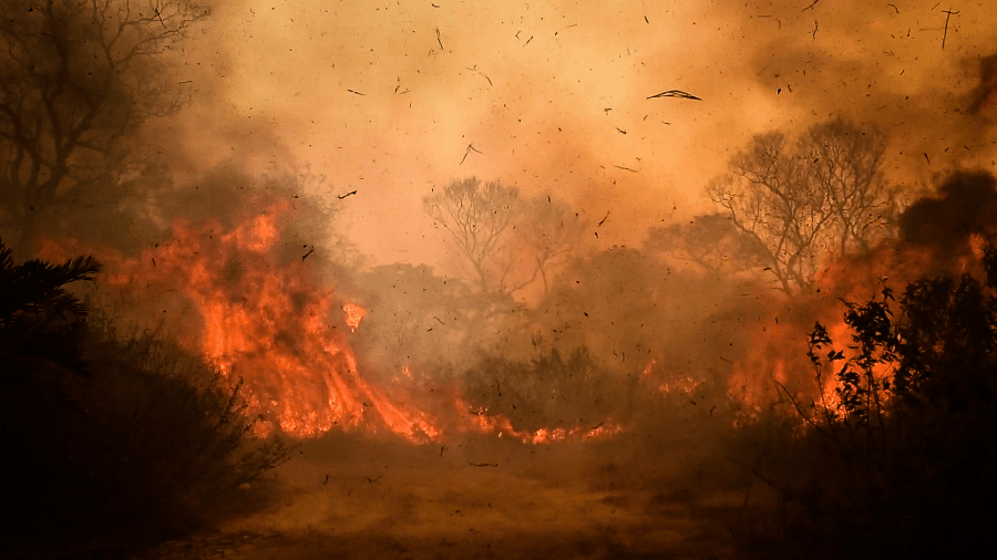As queimadas deste ano são, segundo o Inpe, a maior sequência de incêndios na história - Getty Images