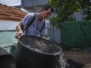 SP em 1º disparado: Brasil encerra janeiro com 170 mil casos de dengue