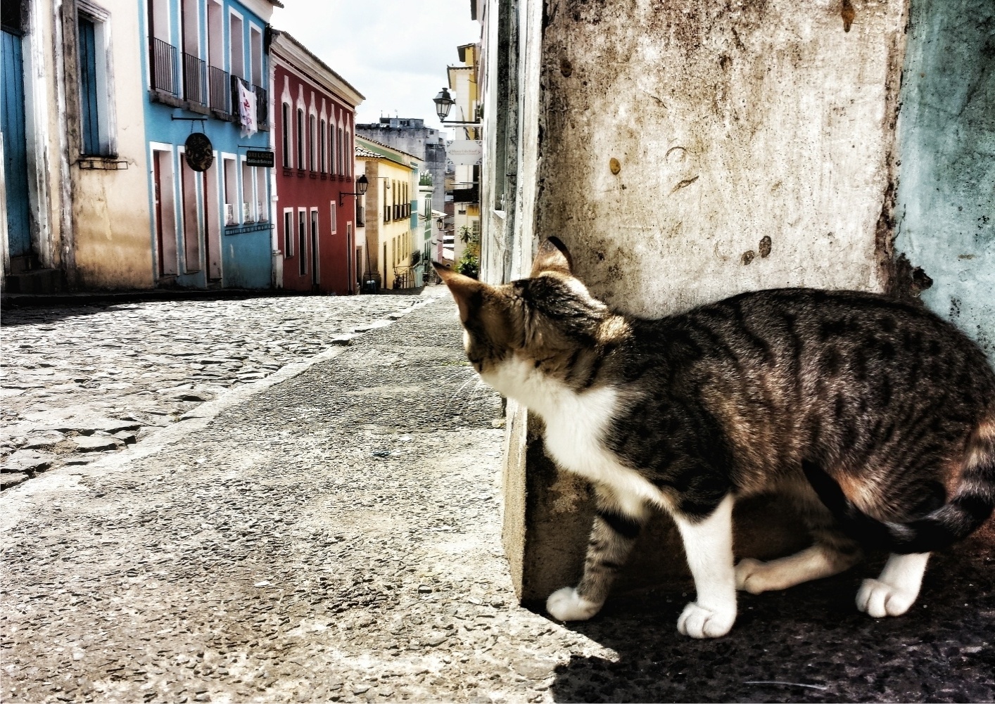 Foto de Rodrigo Morais de Souza, na BA. - Rodrigo Morais de Souza
