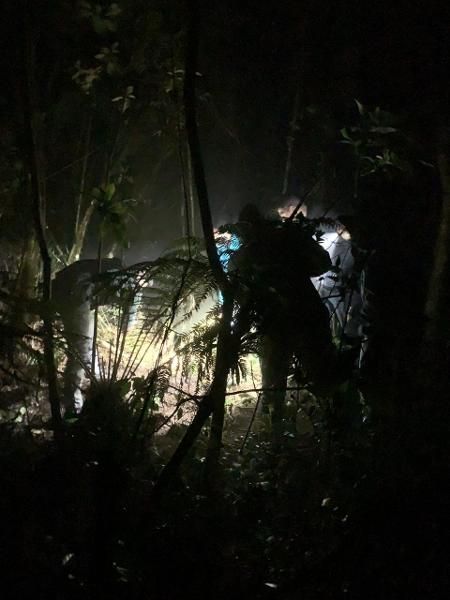 Policiais examinam corpos encontrados em região de mata em Rio dos Cedros (Santa Catarina) - Divulgação/Polícia Civil de Santa Catarina