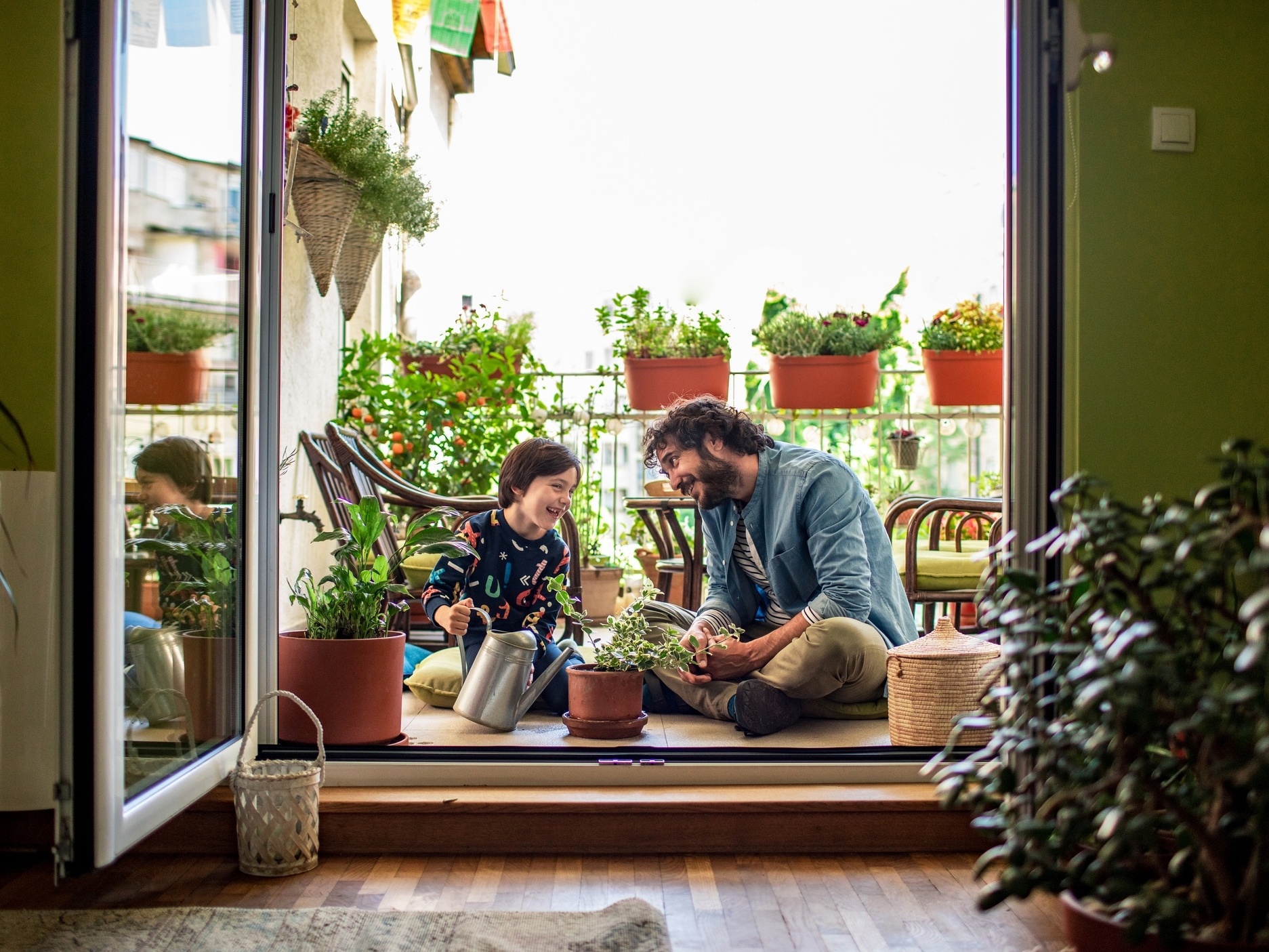 Espécies de plantas perfeitas para ter em local sem sol - Blog da Plantei