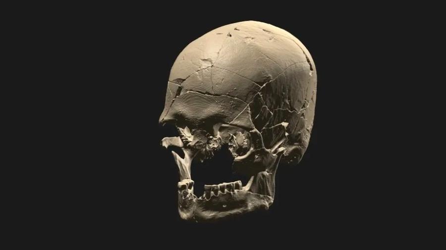 Renderização tridimensional a partir da tomografia do crânio de Luzio, fóssil encontrado no sambaqui ribeirinho Capelinha, no Vale do Rio Ribeira de Iguape (SP) - André Strauss/MAE-USP