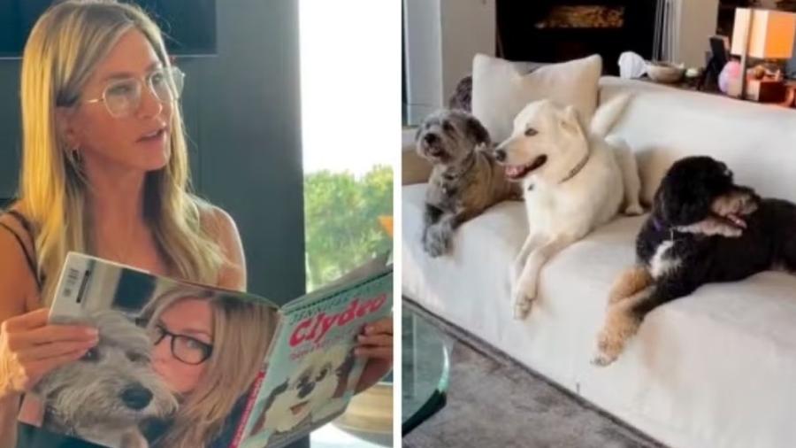 Jennifer Aniston lê livro infantil para seus cães - Reprodução/Instagram