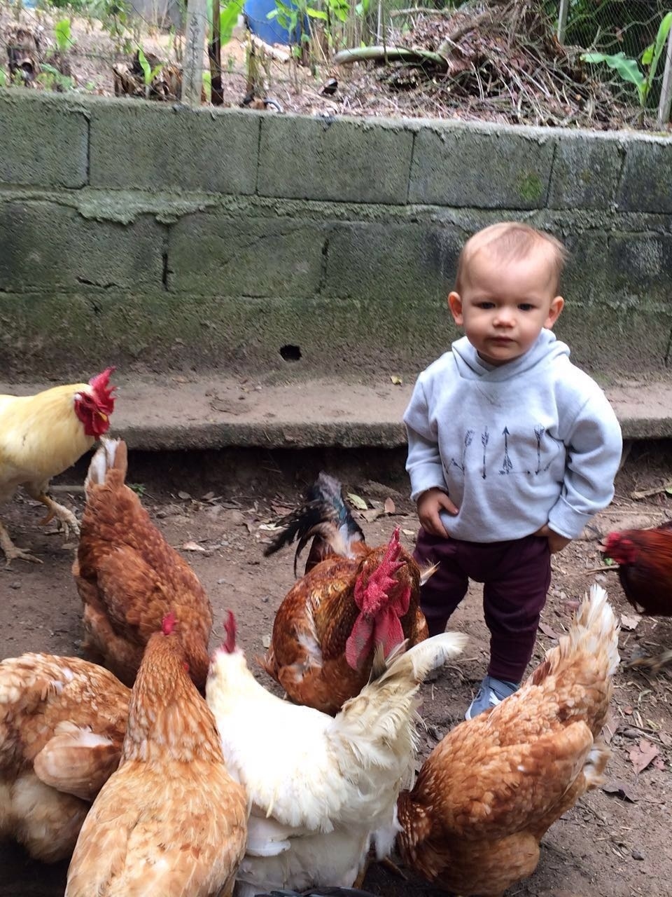 Mãe dando a seus filhos tábua de madeira com lanche vegetariano vegano