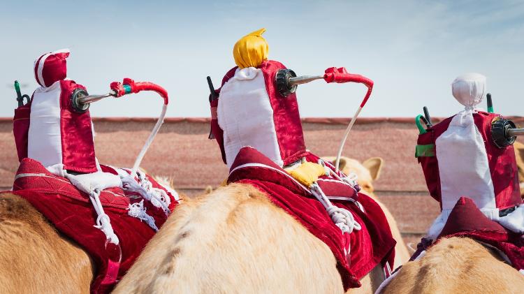 Corrida de camelos no Qatar - Detail of remote controlled Camel Racing Robot Jockeys mounted on the back of Racing Camels side by side. Robot Jockey Camel Racing is a popular sport in the Middle East. Robot Jockeys are a replacement for human jockeys. Racing Camel Robotic Jockeys, Qatar, Persian Gulf Countries, Middle East, Western Asia - Mlenny/Getty Images/iStockphoto - Mlenny/Getty Images/iStockphoto