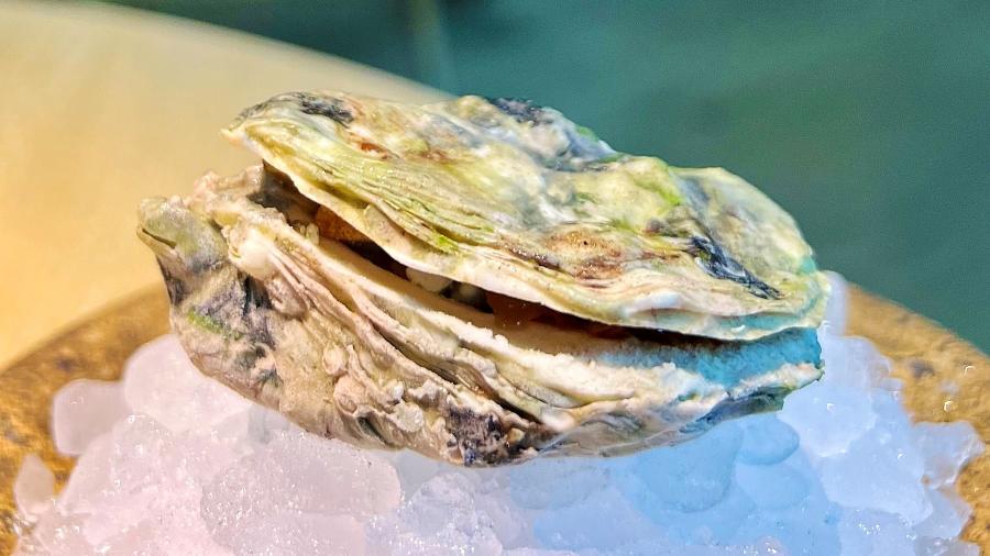 Sobremesa do restaurante Noma, já eleito o melhor do mundo: isso não é uma ostra, mas tem sabor de mar
