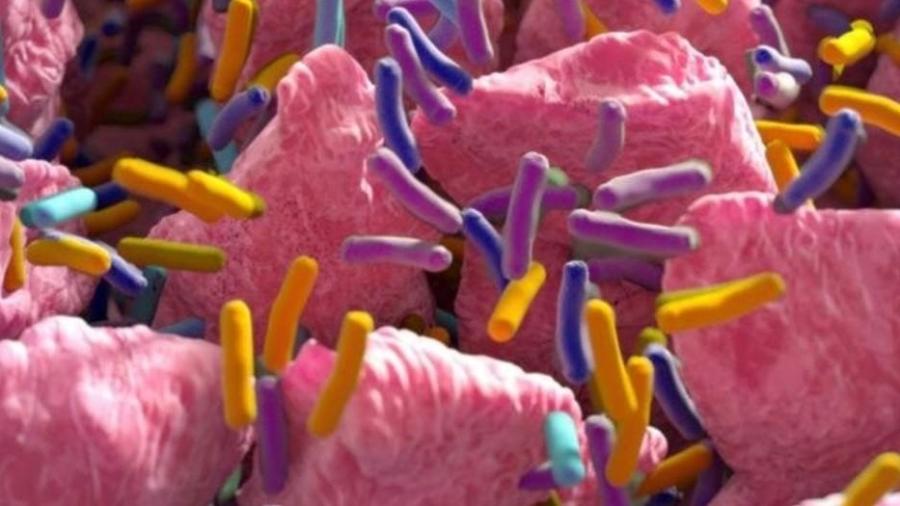 O microbioma do intestino influencia vários aspectos de nossa saúde - Getty Images