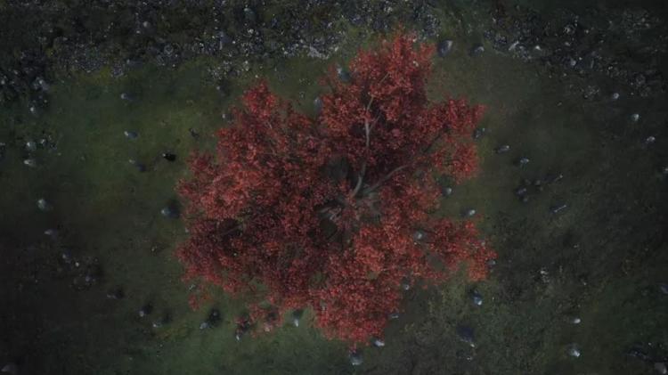 Filhos da Floresta recriam a espiral ao matar um homem - Reprodução - Reprodução