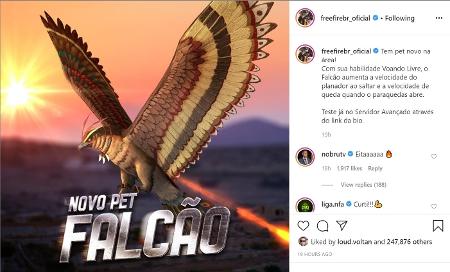 Free Fire: Novo pet Falcão já está no servidor avançado - 20/05