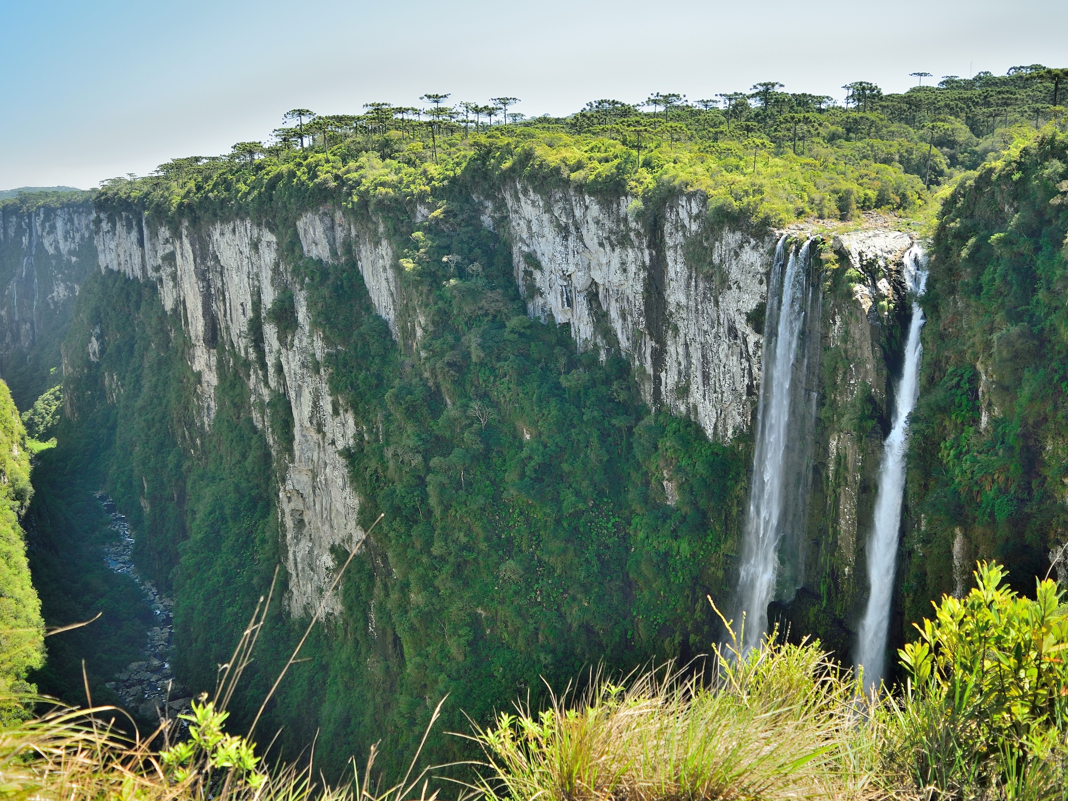 Parque Nacional do Viruá, um campeão de biodiversidade - ((o))eco