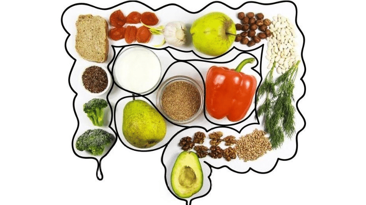 microbiota saudável - Getty Images - Getty Images