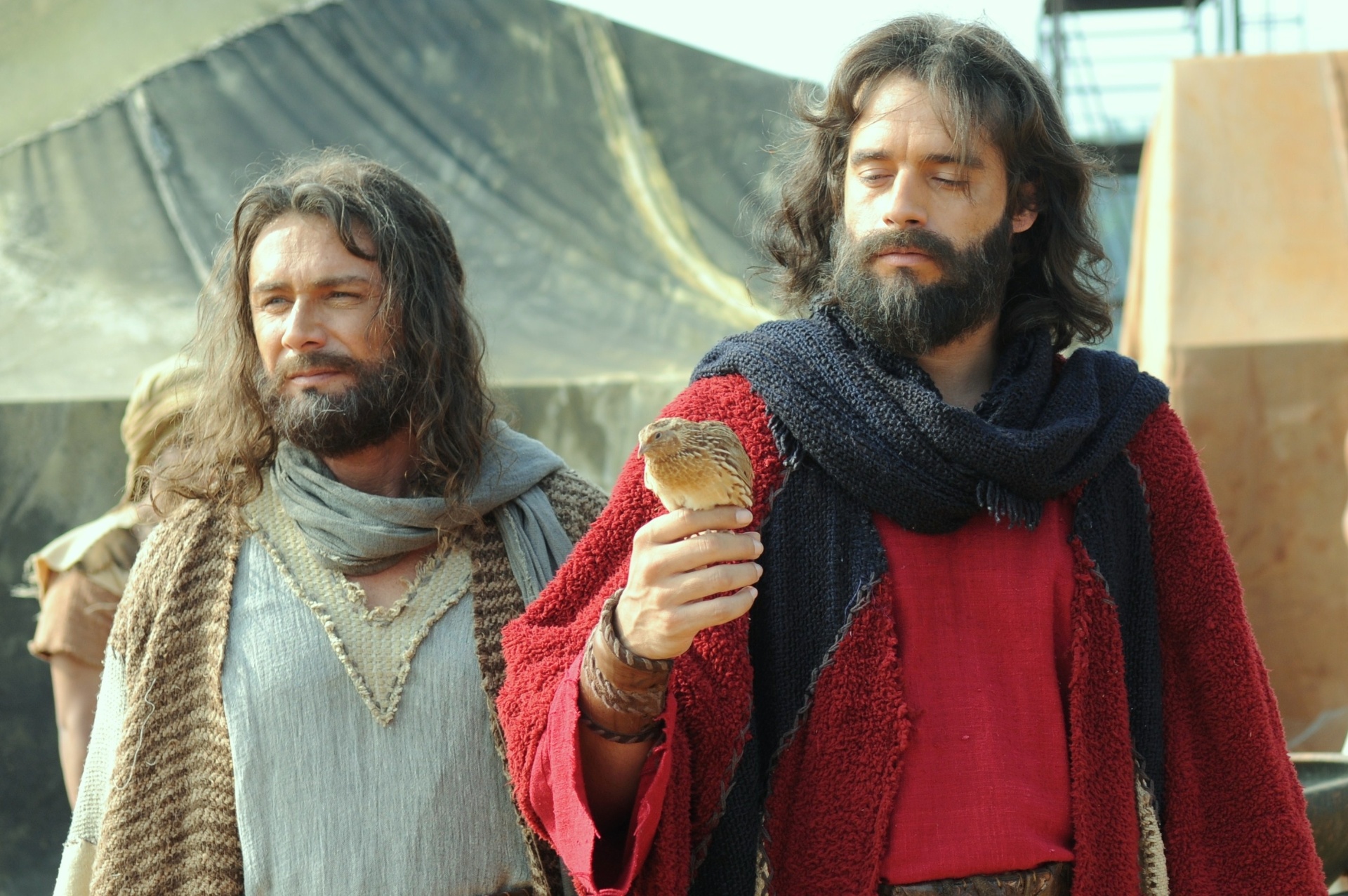 Exaustos de tanto caminhar após cruzarem o Mar Vermelho, os hebreus começam a ficar sem comida e água. Corá (Vitor Hugo) cobra Moisés (Guilherme Winter) pela falta de comida. O libertador ora e pede a Deus que envie provisões. Para surpresa de todos os hebreus, uma revoada de codornizes aparecem no acampamento. Em festa, o povo corre atrás das aves para capturá-las preparar um banquete para comemorar o milagre divino. A cena está prevista para ir ao ar nesta quinta-feira (12). - Munir Chatack/TV Record