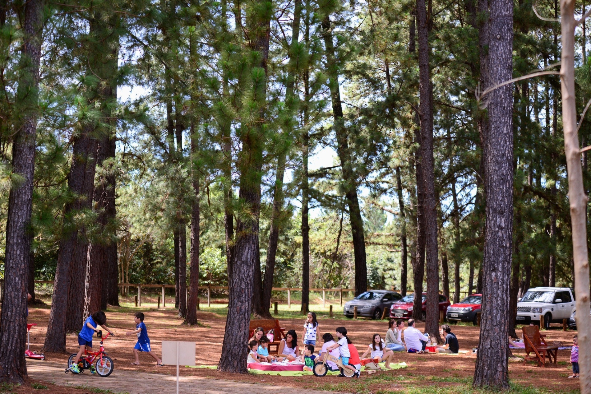 Jardim Botânico de Brasília - Divulgação / Paula Fróes