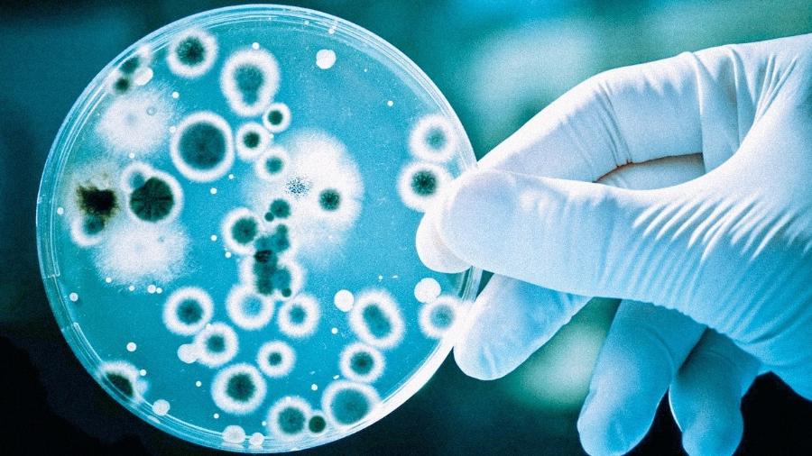 O levantamento aponta que em 2019 pouco mais de mil isolados de bactérias eram identificados. Entre janeiro e outubro de 2021, já foram mais de 3,7 mil amostras - Shutterstock