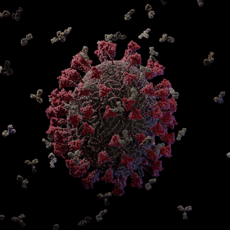15.maio.2020 - Imagem em 3D do novo coronavírus  - Reprodução/YouTube/Visual Science