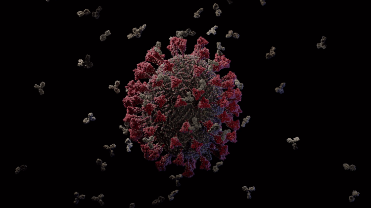 15.maio.2020 Imagem em 3D do novo coronavírus é considerada a mais precisa até agora - Reprodução/YouTube/Visual Science - Reprodução/YouTube/Visual Science