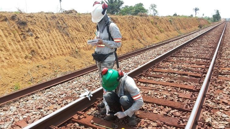 Pesquisadores monitoram atropelamentos de fauna na Estrada de Ferro Carajás - Rubem Dornas - Rubem Dornas