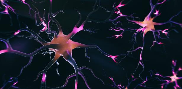 Empresa suíça cria máquina que utiliza organoides do cérebro