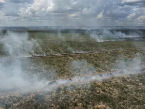 Fogo consumiu 88 milhões de hectares de Cerrado entre 1985 e 2023