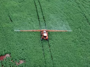 Agrotóxicos: agricultoras do PR têm risco 60% maior de ter câncer de mama