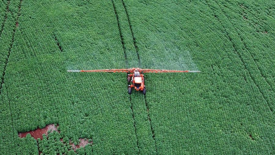 Aplicação de pesticidas em lavoura de tabaco no Paraná. 