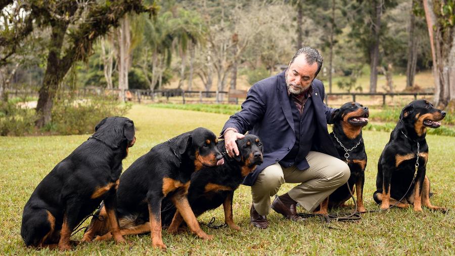 Tony Ramos e os cães nas gravações de "Vade Retro" - Ramón Vasconcelos/Globo