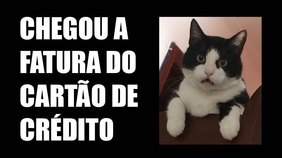 Vem de "Zap"! Mande seu meme para o BOL: (11) 97335-6855 - 