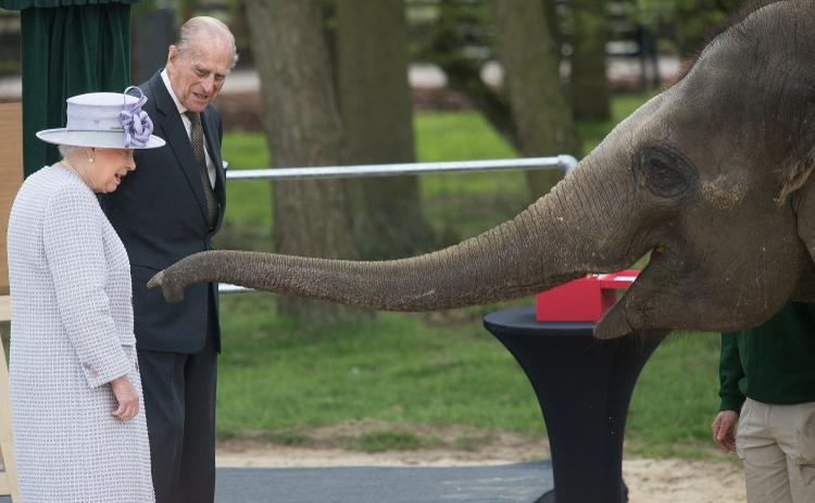 DUNSTABLE, ENGLAND - APRIL 11:  Queen Elizabeth II and Prince Philip, Duke of Edinburgh feed Donna the elephant a banana as they visit the ZSL Whipsnade Zoo at the Elephant Centre on April 11, 2017 in Dunstable, United Kingdom.  (Photo by Samir Hussein/WireImage) - Samir Hussein/WireImage - Samir Hussein/WireImage