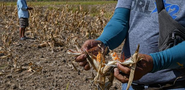 El Niño forte pode levar mais 49 milhões à fome aguda