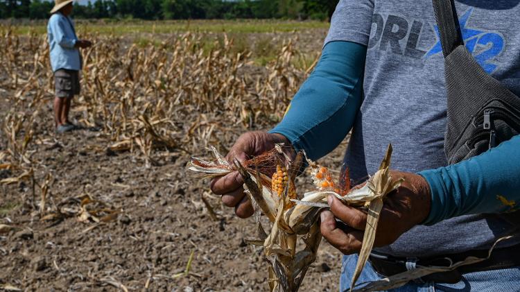 Agricultor mostra espiga de milho seca nas Filipinas, onde El Niño agravou clima e causou seca em março deste ano