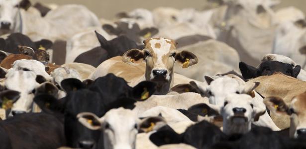 Suspensão da UE à carne brasileira não tem como durar muito, diz pecuarista