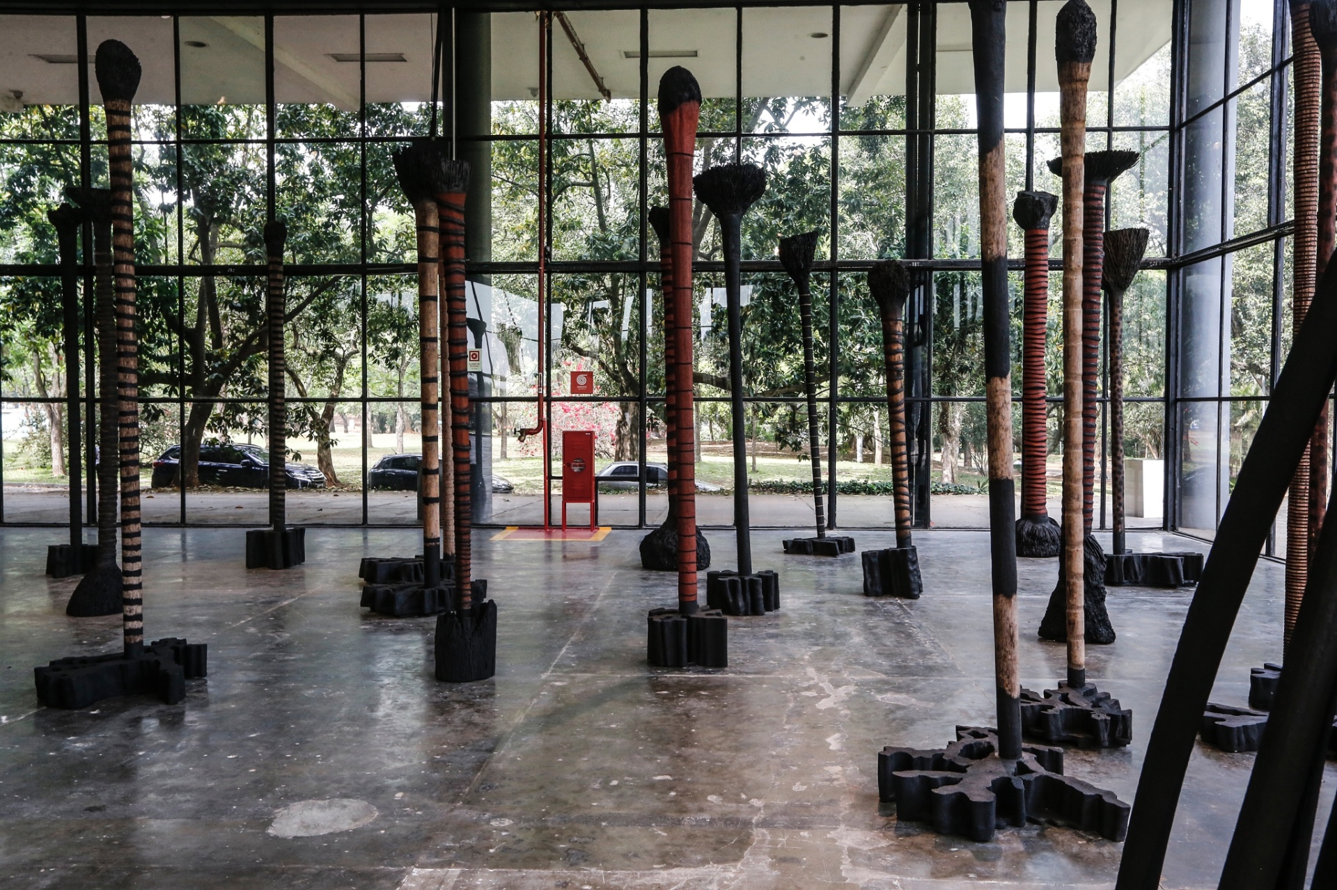 A floresta de esculturas do polonês radicado no Brasil Frans Krajcberg - Lucas Lima / UOL