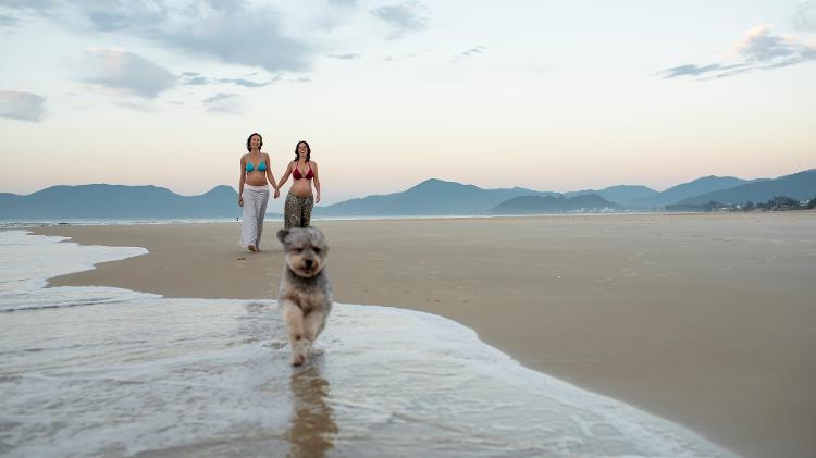 O casal em Florianópolis, onde vivem - Iluminar - Iluminar