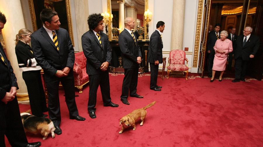 A rainha Elizabeth 2ª frequentemente leva seus cachorros para compromissos oficiais, como pode ser visto nesta foto de 2007 - Corbis via Getty Images