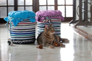 Faça um arranhador para gatos com materiais baratos e reutilizados - Reinaldo Canato/ UOL
