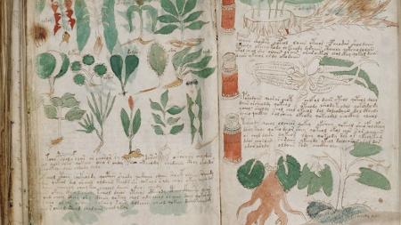 Imagem do misterioso Manuscrito Voynich; nem Nasa e CIA conseguiram decifrá-lo - Reprodução