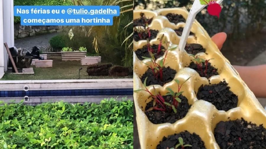 Fátima Bernardes mostra horta criada com namorado - Reprodução/Instagram