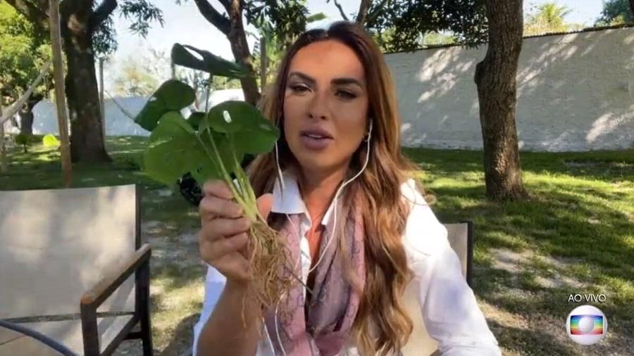 Nicole Bahls aprenda a reconhecer plantas no É de Casa - Reprodução/Rede Globo