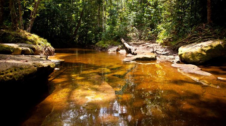 Pequeno rio no município de Presidente Figueiredo - Getty Images - Getty Images