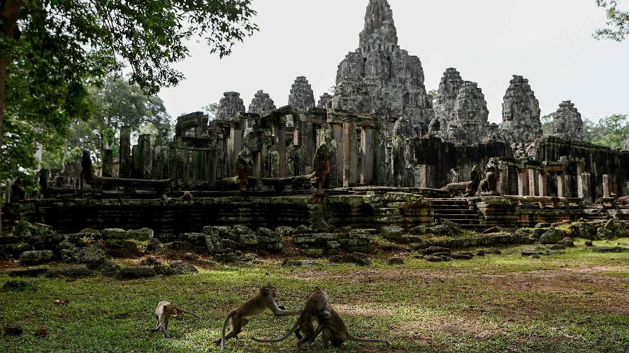 Macacos ocupam o Templo Bayon em Angkor Wat. O complexo tem trazido de volta animais que foram caçados no passado - TANG CHHIN SOTHY/AFP