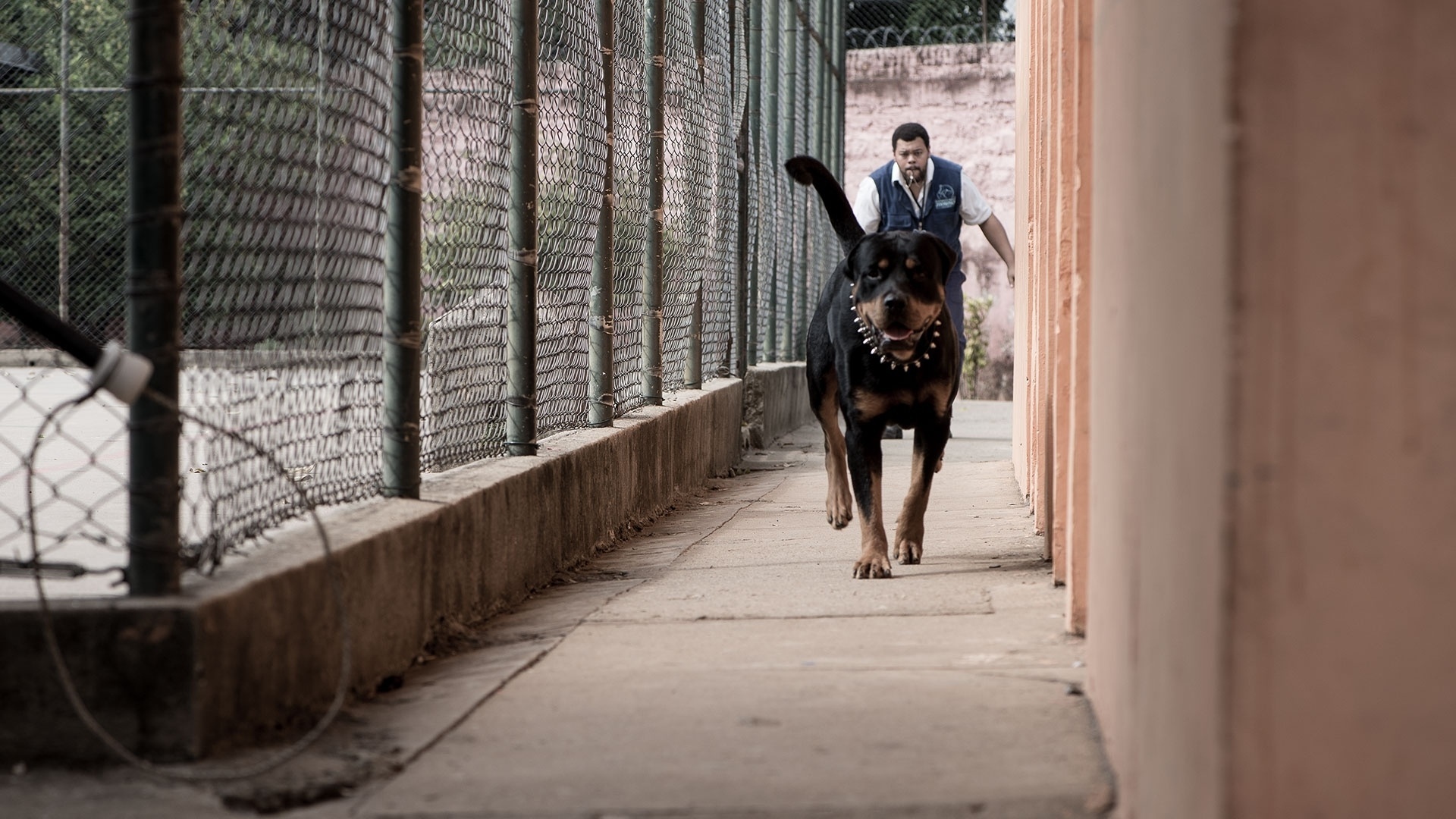 Cena do filme "Mundo Cão" - Divulgação