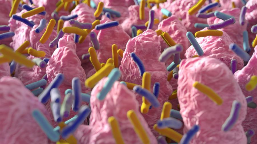 Bactérias contam com mecanismos para avisar grupo sobre ameaça mortal - iStock