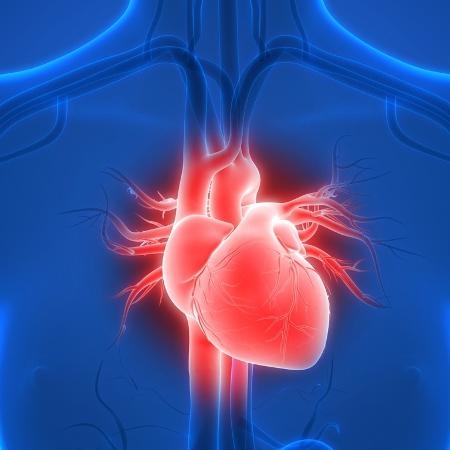 Portadores de cardiopatias devem aderir ao isolamento, mas sem deixar de lado lado o tratamento da doença - iStock