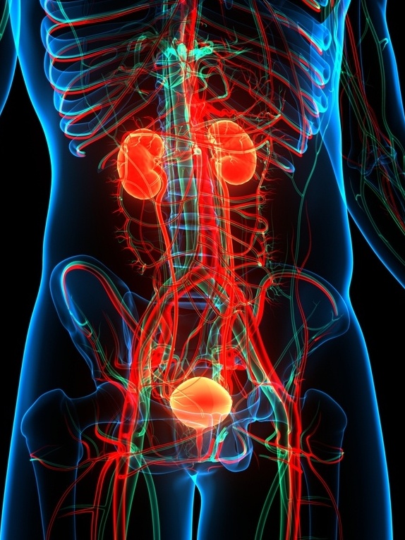 Pouca conhecida, tuberculose geniturin&aacute;ria tem incid&ecirc;ncia de at&eacute; 15% -  26/03/2022 - UOL VivaBem