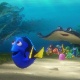 Cena do filme "Procurando Dory" - Divulgação