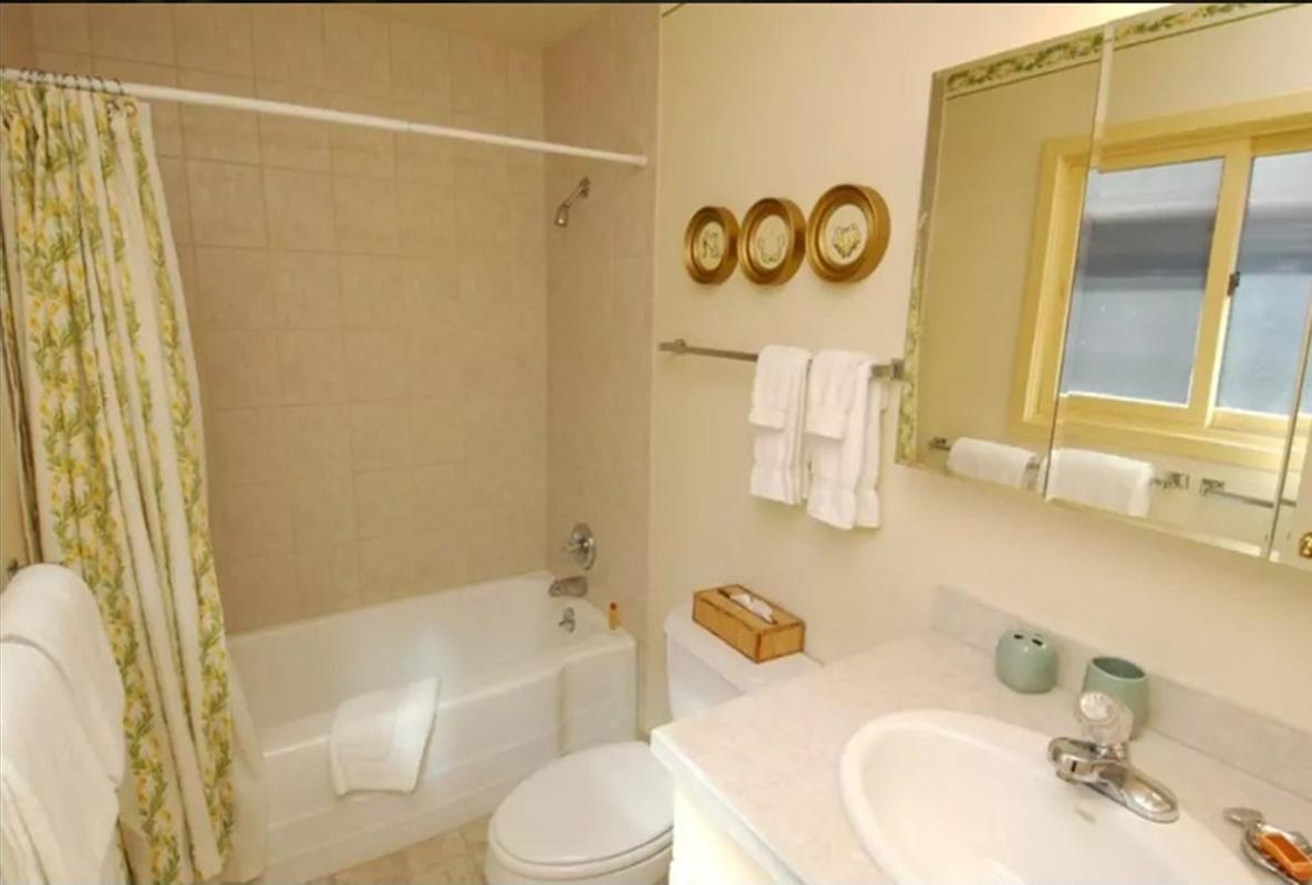 Banheiro de casa em que Ivete Snagalo está hospedada em Aspen é espaçoso e tem banheira; a mansão tem ao todo 4 banheiros - Reprodução