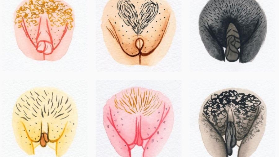 O projeto "The Vulva Gallery" celebra a diversidade de formatos - Reprodução Instagram/The vulva Gallery